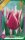 Virághagyma Tulipa Lily Flowered Claudia 6 db