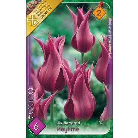 Virághagyma Tulipa Lily Flowered Maytime 6 db