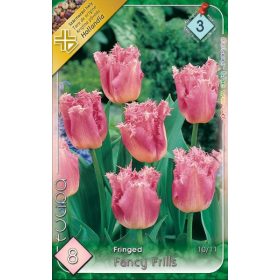 Virághagyma Tulipa Fringed Fancy Frills 8 db