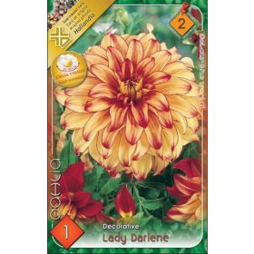 Virághagyma Dahlia Decorative Lady Darlene 1db
