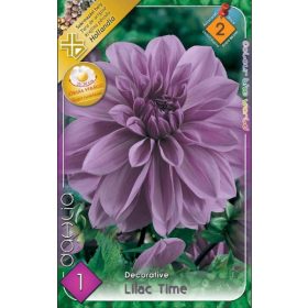 Virághagyma Dahlia Decorative Lilac Time 1db