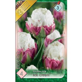Virághagyma Tulipa Double Late Ice Cream 4 db