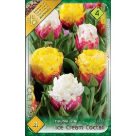 Virághagyma Tulipa Double Late Ice Cream Coctail 4 db