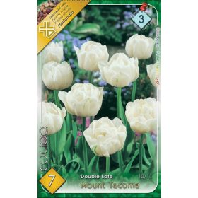 Virághagyma Tulipa Double Late Mount Tacoma 7 db