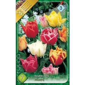 Virághagyma Tulipa Double Early mixed 7 db