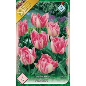 Virághagyma Tulipa Double Early Foxtrot 6 db