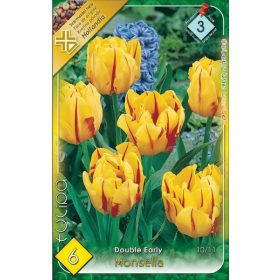 Virághagyma Tulipa Double Early Monsella 6 db