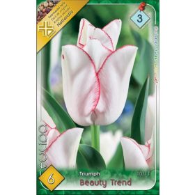 Virághagyma Tulipa Triumph Beauty Trend 6 db