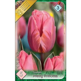 Virághagyma Tulipa Triumph Pretty Prinzess 5 db