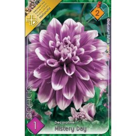 Virághagyma Dahlia Decorative Mistery Day 1db