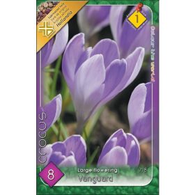 Virághagyma Crocus Large Flowering Vanguard 8 db