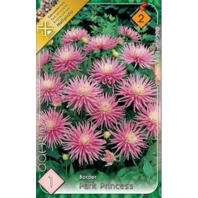 Virághagyma Dahlia Border Park Prinzess 1db
