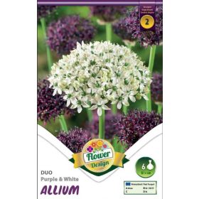 Virághagyma Allium Duo Purple & White 6 db