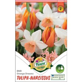 Virághagyma Tulipa-Narcissus Duo Orange Dream 8 db