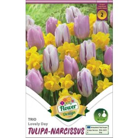 Virághagyma Tulipa Trio Lovely Day 9 db