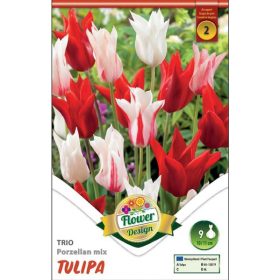 Virághagyma Tulipa Trio Porzelan mix 9 db