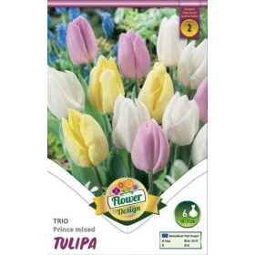 Virághagyma Tulipa Trio Prince mixed 6 db