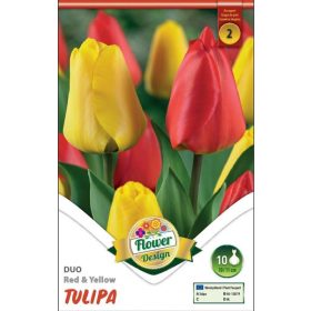 Virághagyma Tulipa Duo Red & Yellow 10 db