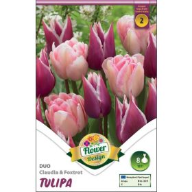 Virághagyma Tulipa Duo Claudia & Foxtrot 8 db
