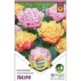 Virághagyma Tulipa Duo Double Crazy Diamonds 6 db