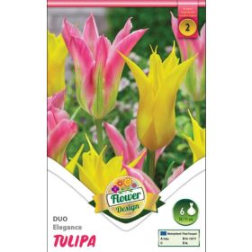 Virághagyma Tulipa Duo Elegance 6 db