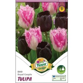 Virághagyma Tulipa Duo Royal Couple 6 db
