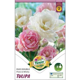 Virághagyma Tulipa Duo Double Pink & White 8 db