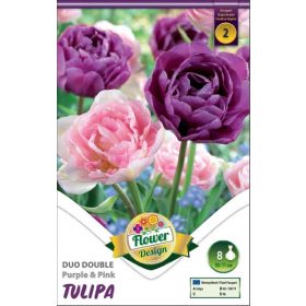 Virághagyma Tulipa Duo Double Purple & Pink 8 db