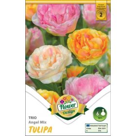 Virághagyma Tulipa Trio Angel mix 6 db
