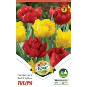 Virághagyma Tulipa Duo Double Red & Yellow 10 db