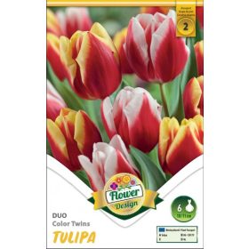 Virághagyma Tulipa Duo Color Twins 6 db