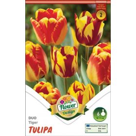 Virághagyma Tulipa Duo Tiger 6 db