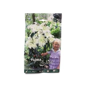 Virághagyma Lilium Treelilies Pretty Woman 2 db
