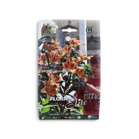 Virághagyma Lilium Treelilies Montego Bay 2 db