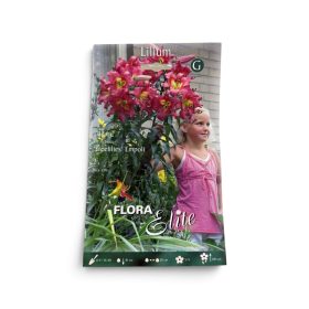 Virághagyma Lilium Treelilies Empoli 2 db