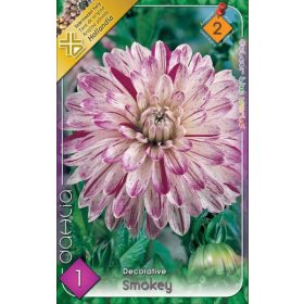 Virághagyma Dahlia Decorative Smokey 1db