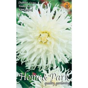 Virághagyma Dahlia Cactus Tsuki Yori No Shisha 1db