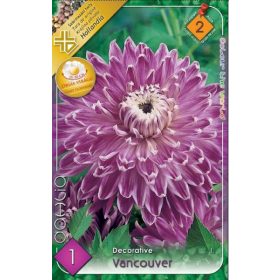 Virághagyma Dahlia Decorative Vancouver 1db