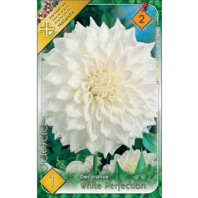 Virághagyma Dahlia Decorative White Perfection 1db