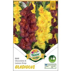 Virághagyma Gladiolus Duo Chocolate & Lemon Drop 8db