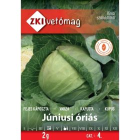 ZKI Fejes Káposzta Júniusi Óriás 2g