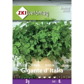 ZKI Petrezselyem Gigante d' Italia 3g