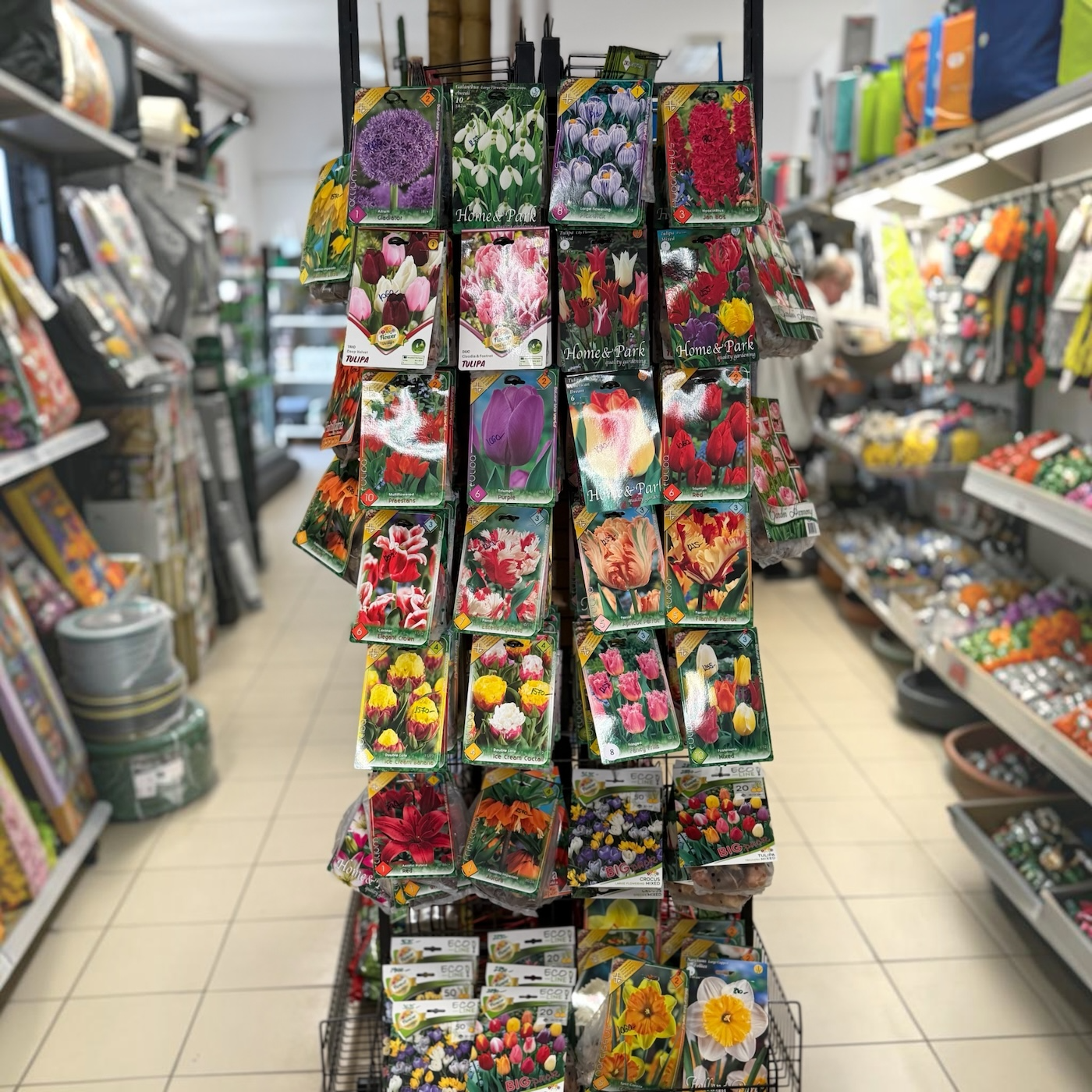  MEGÉRKEZETT AZ ŐSZI VIRÁGHAGYMA KÉSZLET! 